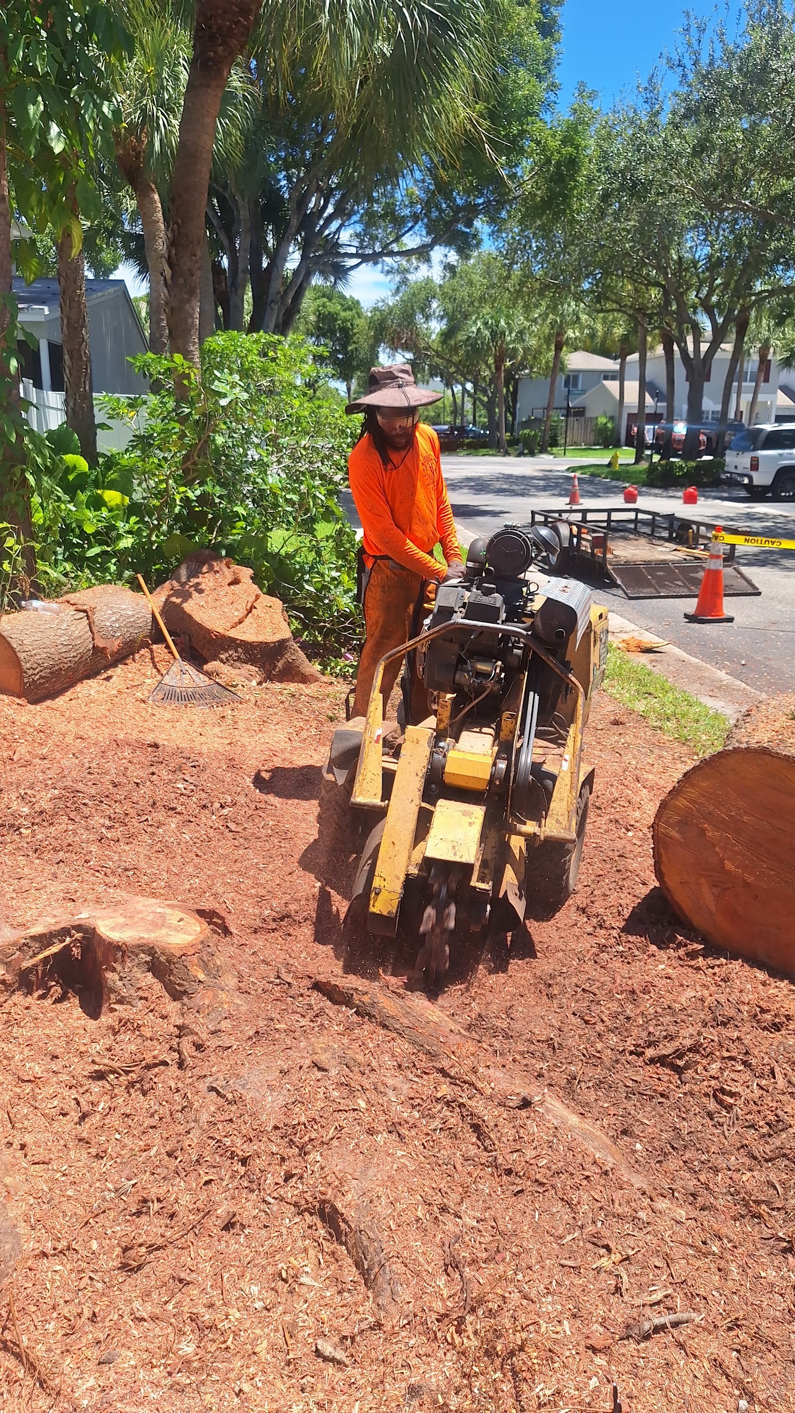 Stump grinder finishing a fresh removal