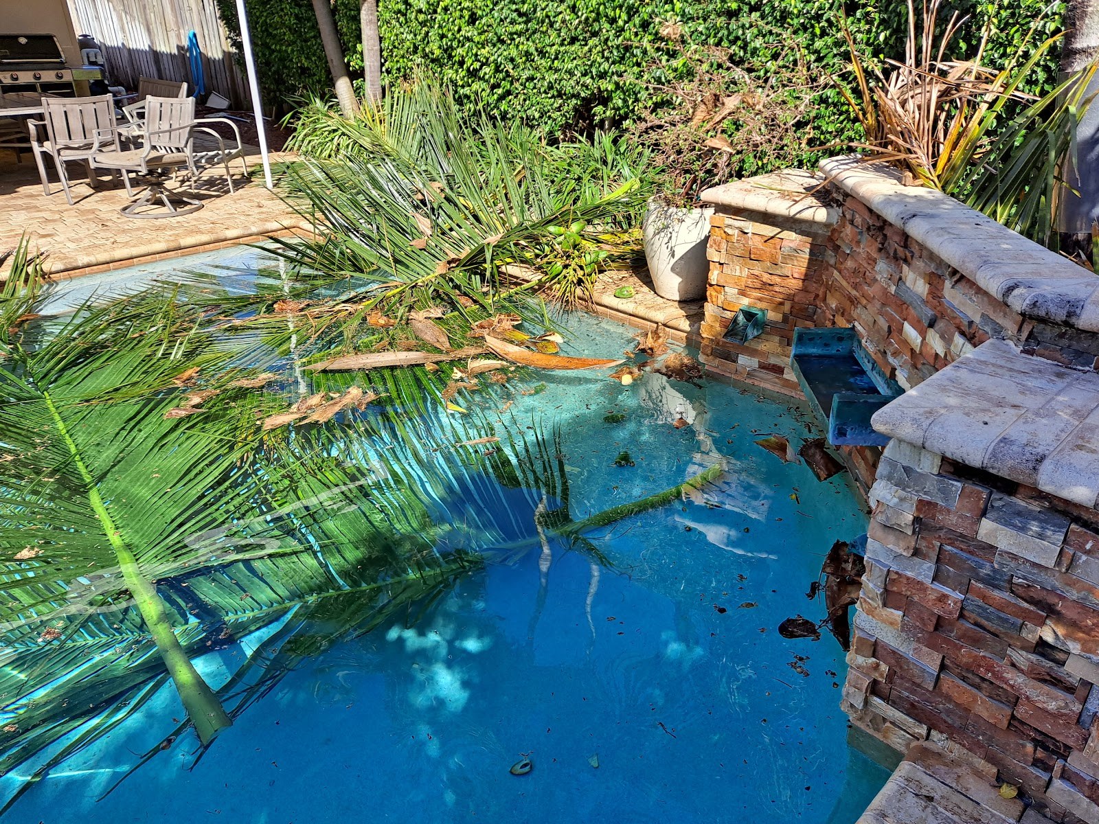 Palm fronds cleared from a pool waterfall feature