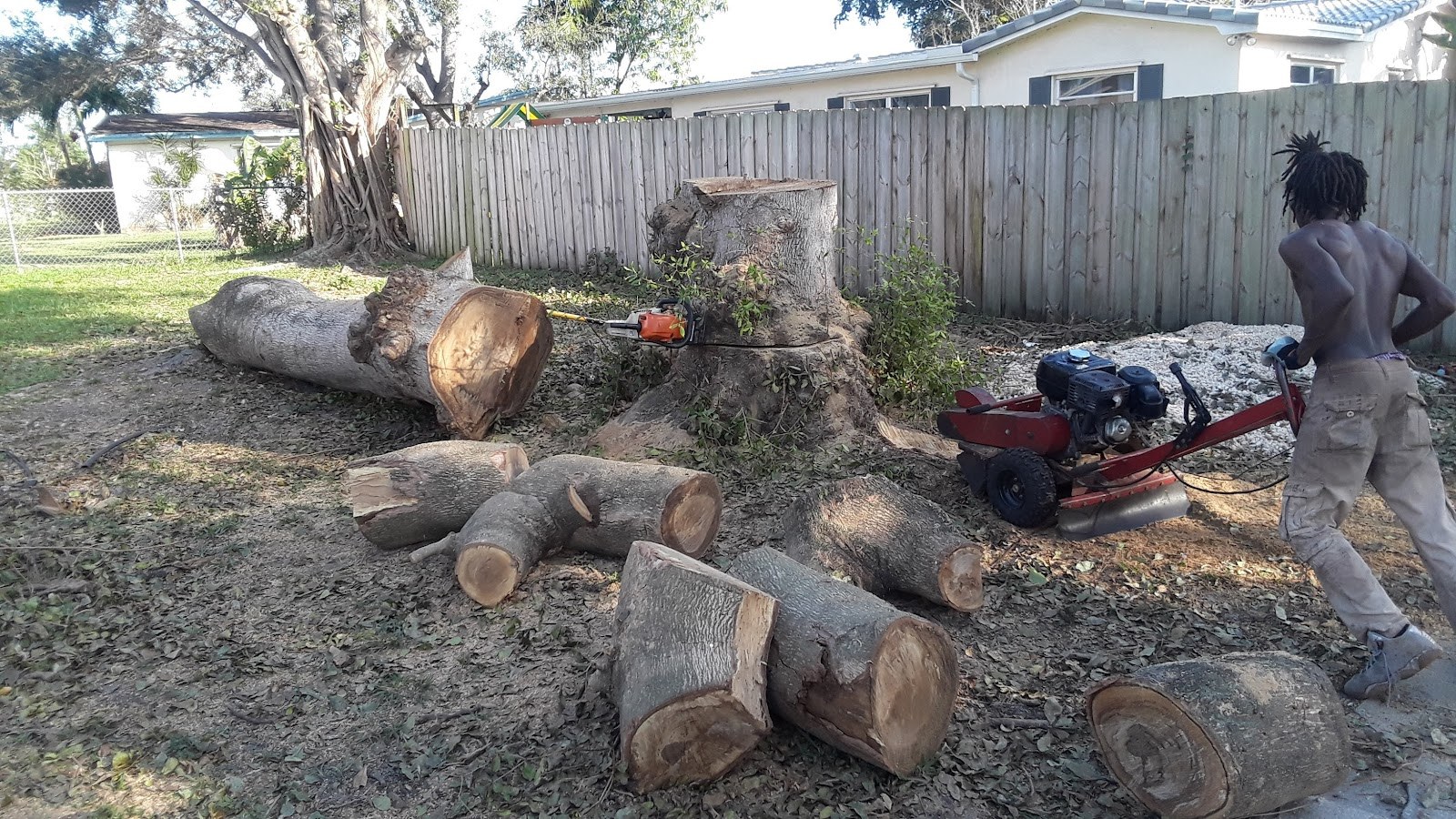 Logs bucked and stacked after a removal